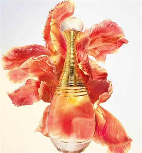 j'adore eau de parfum 怎么